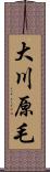 大川原毛 Scroll