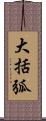 大括弧 Scroll