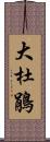 大杜鵑 Scroll