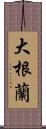 大根蘭 Scroll