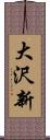 大沢新 Scroll