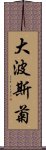 大波斯菊 Scroll