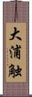 大浦触 Scroll