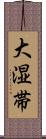 大湿帯 Scroll