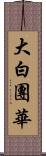 大白團華 Scroll
