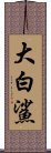 大白鯊 Scroll