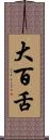 大百舌 Scroll