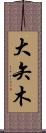 大矢木 Scroll
