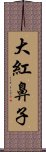 大紅鼻子 Scroll