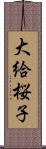 大給桜子 Scroll