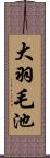 大羽毛池 Scroll