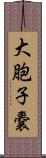 大胞子嚢 Scroll