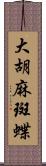 大胡麻斑蝶 Scroll