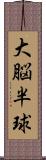 大脳半球 Scroll