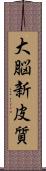 大脳新皮質 Scroll