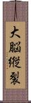 大脳縦裂 Scroll