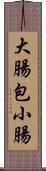 大腸包小腸 Scroll