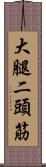 大腿二頭筋 Scroll