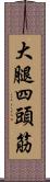 大腿四頭筋 Scroll