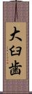 大臼歯 Scroll
