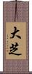 大芝 Scroll