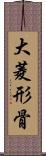 大菱形骨 Scroll