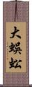 大蜈蚣 Scroll