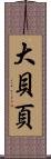 大貝 Scroll