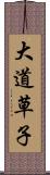 大道草子 Scroll
