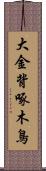 大金背啄木鳥 Scroll