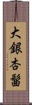 大銀杏髷 Scroll