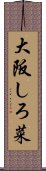 大阪しろ菜 Scroll