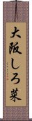 大阪しろ菜 Scroll