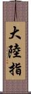 大陸指 Scroll