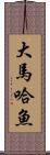 大馬哈魚 Scroll