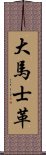 大馬士革 Scroll