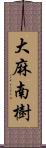 大麻南樹 Scroll