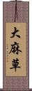 大麻草 Scroll