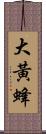 大黃蜂 Scroll