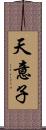 天意子 Scroll