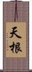 天根 Scroll