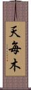 天毎木 Scroll