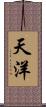天洋 Scroll