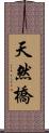 天然橋 Scroll