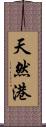 天然港 Scroll