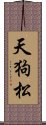 天狗松 Scroll