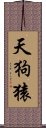 天狗猿 Scroll