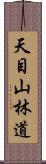 天目山林道 Scroll