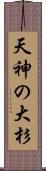 天神の大杉 Scroll