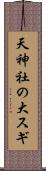 天神社の大スギ Scroll